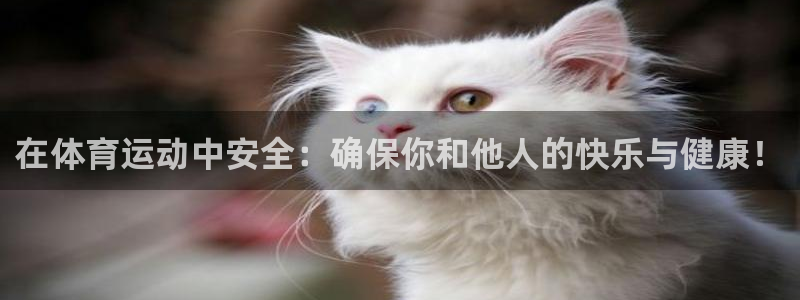 500体育老版本：在体育运动中安全：确保你和他人的快乐与健康！